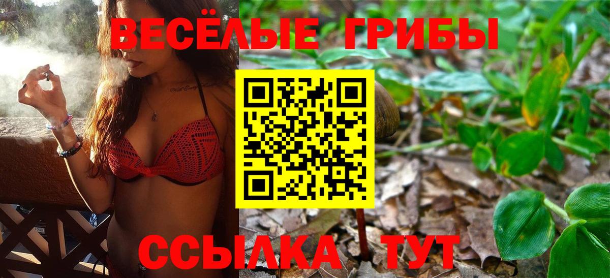 Псилоцибиновые грибы Magic Shrooms Прохладный